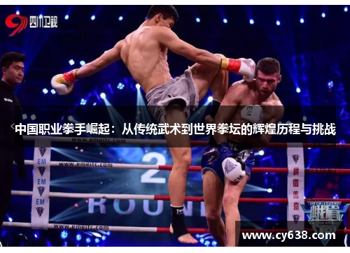 中国职业拳手崛起：从传统武术到世界拳坛的辉煌历程与挑战