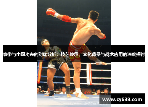 泰拳与中国功夫的对比分析：技艺传承、文化背景与战术应用的深度探讨