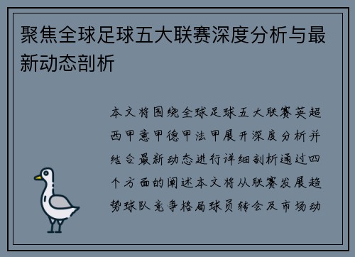 聚焦全球足球五大联赛深度分析与最新动态剖析