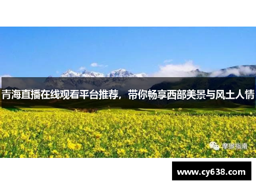青海直播在线观看平台推荐，带你畅享西部美景与风土人情